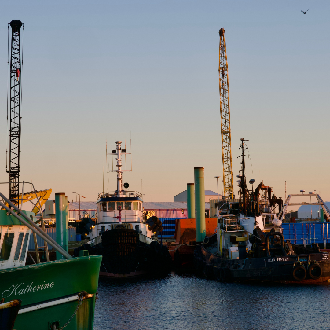 A harbour filled with ships at sunset
